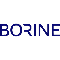 PT Borine Technology Indonesia logo